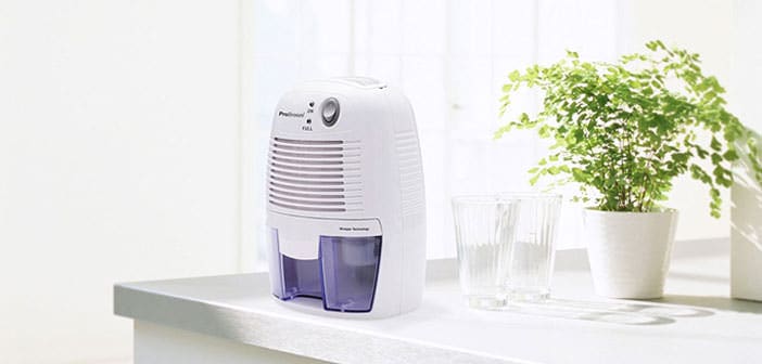 Portable Dehumidifier
